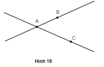 hinh19